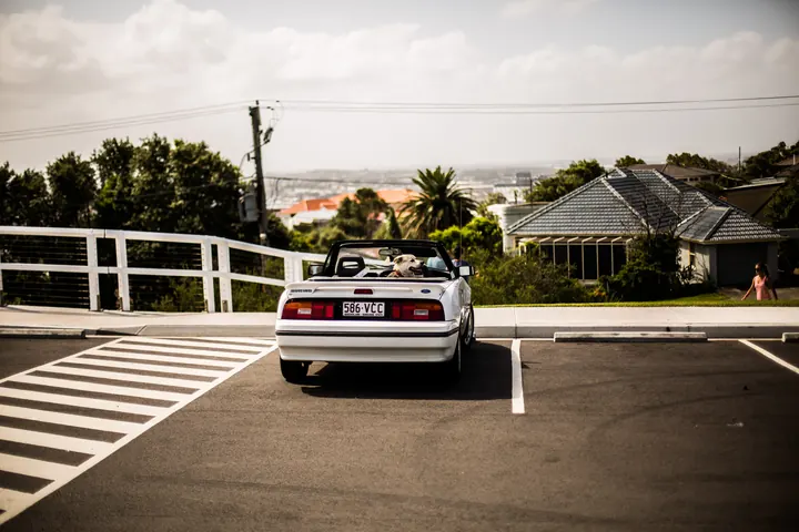 A dog riding in the passenger seat of a white convertible with its top down, parked above a coastal town